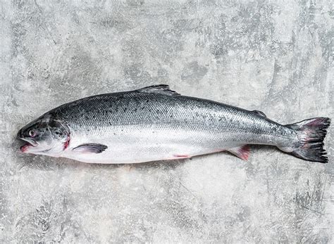 白色的魚|鮭魚其實是「白肉魚」？餐桌上的紅肉魚、白肉魚怎麼分？ @ 食。